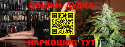 МДПВ Дубна