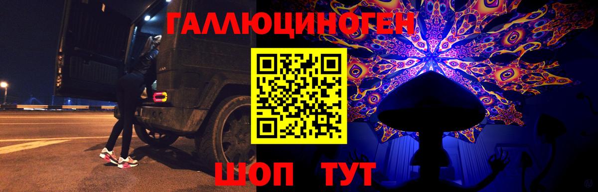 где купить наркотик  Вход с VPN  Псилоцибиновые грибы прущие грибы  Магадан  Псилоцибиновые грибы прущие грибы 